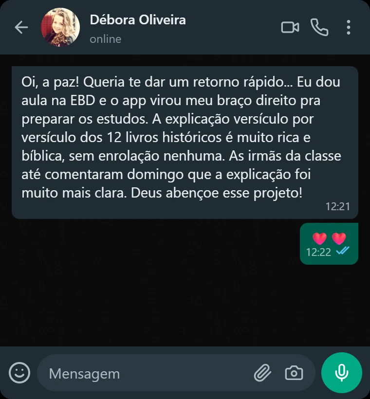 Print de conversa no WhatsApp: depoimento de cliente sobre o aplicativo